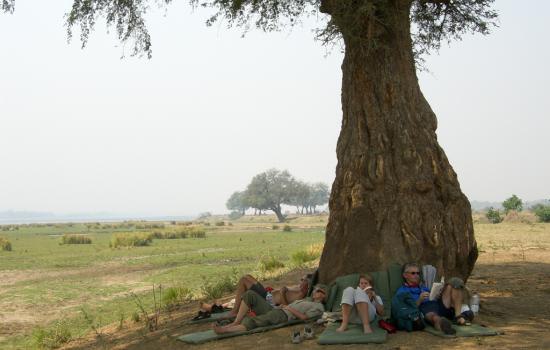 Kano Safari Lower Zambezi Zimbabwe - Zimba Safaris